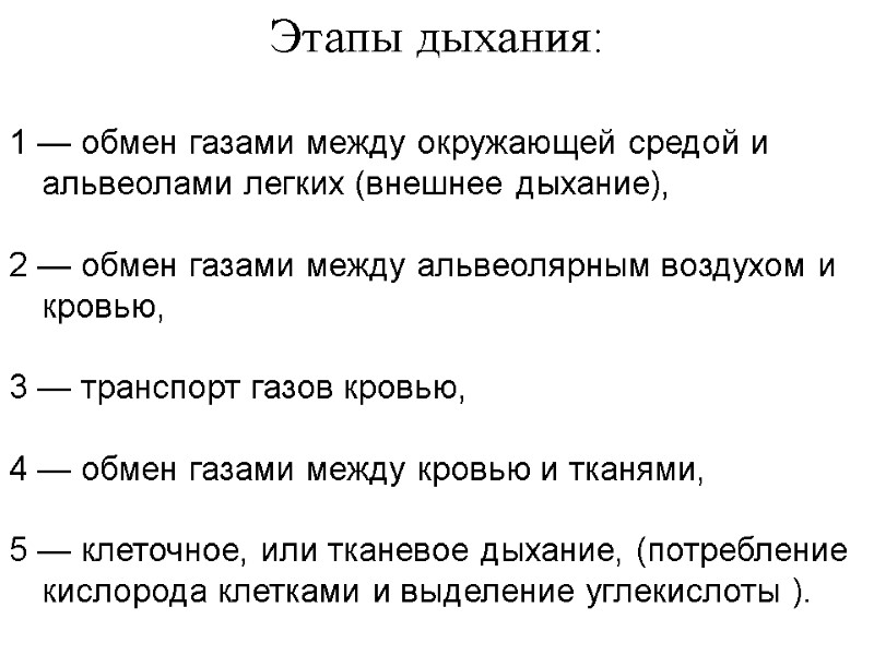 Этапы дыхания:   1 — обмен газами между окружающей средой и альвеолами легких